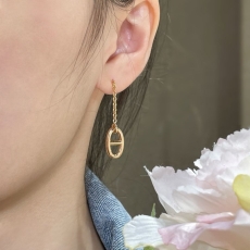 Hermes Earrings